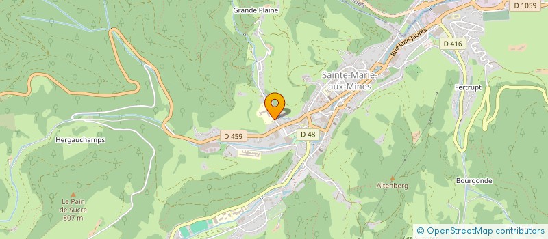 localisation de l'entreprise MADAME LUCIE BELLICAM  SAINTE-MARIE-AUX-MINES