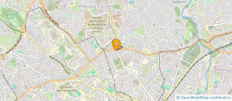 localisation de l'entreprise MADAME LUCIE BORDONARO à MONTPELLIER