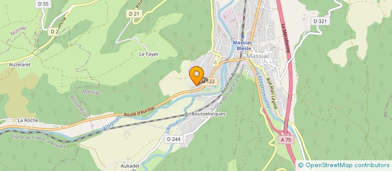localisation de l'entreprise MADAME LUCIE BUISSON à MASSIAC