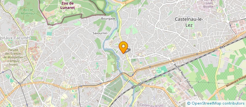 localisation de l'entreprise MADAME LUCIE ESPINASSE à CASTELNAU-LE-LEZ