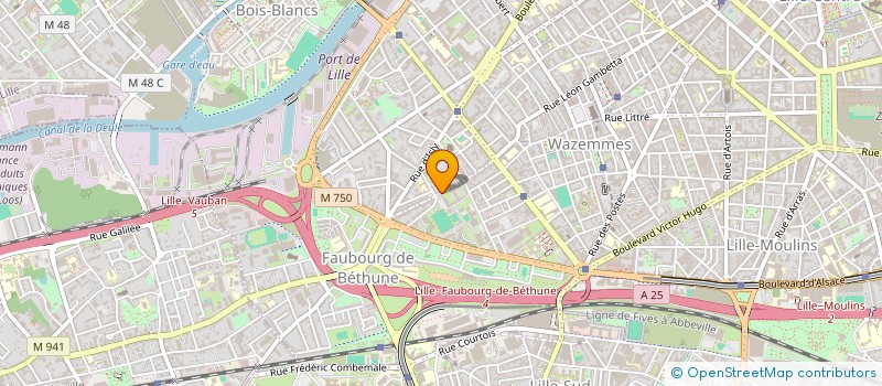 localisation de l'entreprise MADAME LUCIE GARCON  LILLE