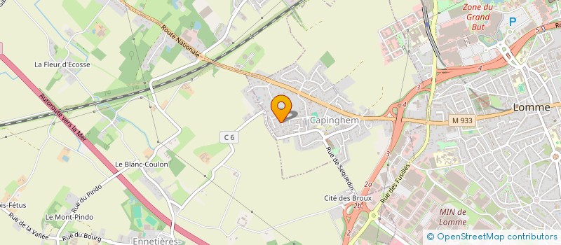 localisation de l'entreprise MADAME LUCIE LEMIERE à LILLE
