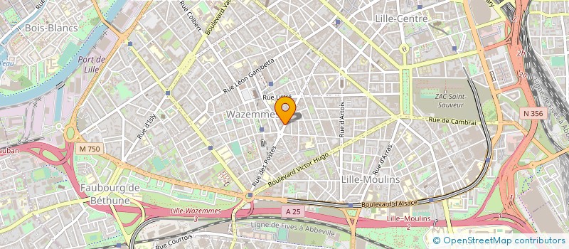 localisation de l'entreprise MADAME LUCIE MENARD à LILLE
