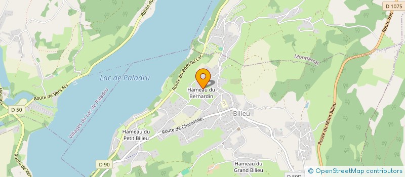 localisation de l'entreprise MADAME LUCIE MICHEL  BILIEU