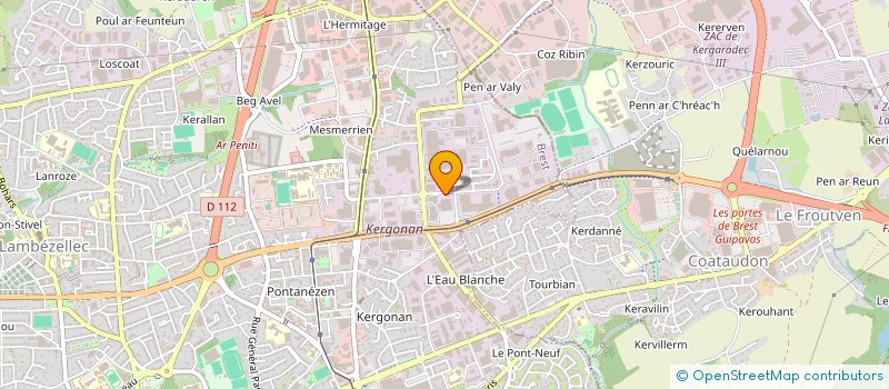 localisation de l'entreprise MADAME LUCIE NIGUINEN à BREST
