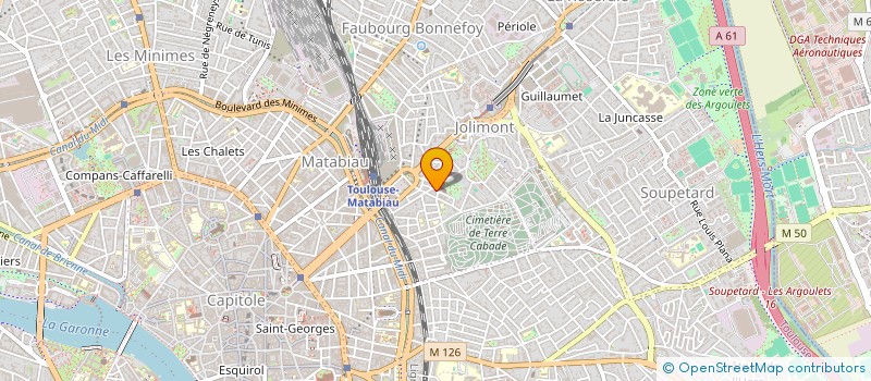 localisation de l'entreprise MADAME LUCIE RIVIERE  TOULOUSE