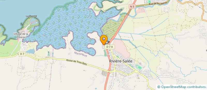 localisation de l'entreprise MADAME LUCIE SANCLOS à RIVIERE-SALEE