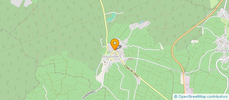 localisation de l'entreprise MADAME LUCIE SARCHEUX  AY-CHAMPAGNE