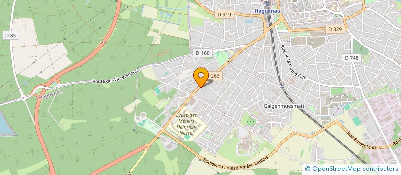 localisation de l'entreprise MADAME LUCIENNE DELL  HAGUENAU