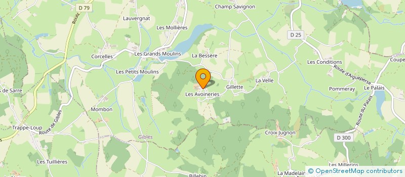 localisation de l'entreprise MADAME LUCIENNE FAYARD  SAINT-LAURENT-EN-BRIONNAIS