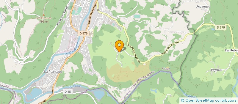 localisation de l'entreprise MADAME LUCIENNE PIGEON  BORT LES ORGUES