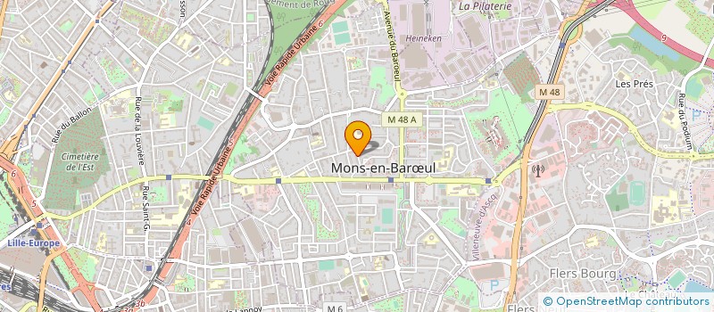 localisation de l'entreprise MADAME LUCILE FLON  MONS-EN-BARUL