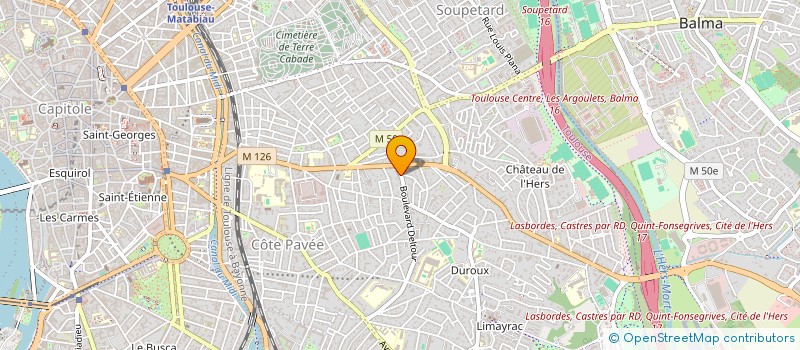 localisation de l'entreprise MADAME LUCILE ROCHE à TOULOUSE
