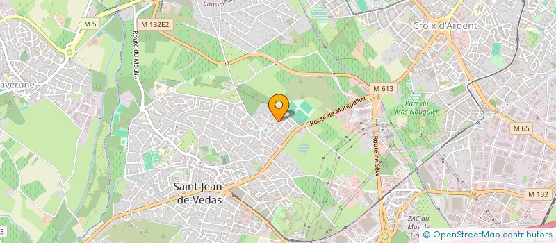 localisation de l'entreprise MADAME LUCILE TIBERGHIEN à SAINT-JEAN-DE-VEDAS