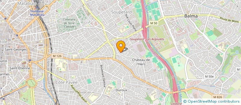 localisation de l'entreprise MADAME LUCILLE FARELLA  TOULOUSE