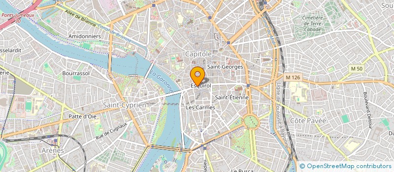 localisation de l'entreprise MADAME LUCILLE LAGRANGE  TOULOUSE