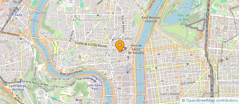 localisation de l'entreprise MADAME LUCILLE SELMI à LYON