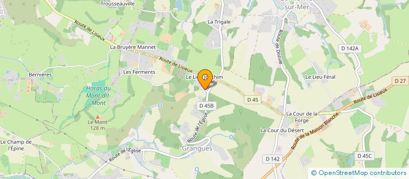 localisation de l'entreprise MADAME LUCY MAGNAT  GRANGUES