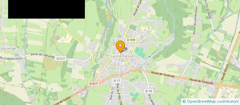 localisation de l'entreprise MADAME LUCYNA PRZYSZLAK  LANNEMEZAN