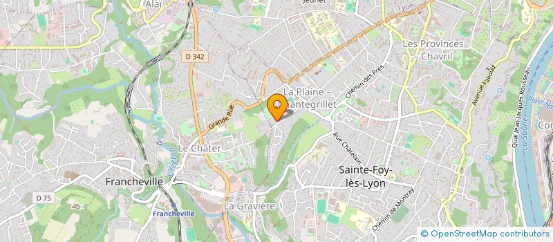 localisation de l'entreprise MADAME LUDIVINE BODOY  SAINTE-FOY-LES-LYON