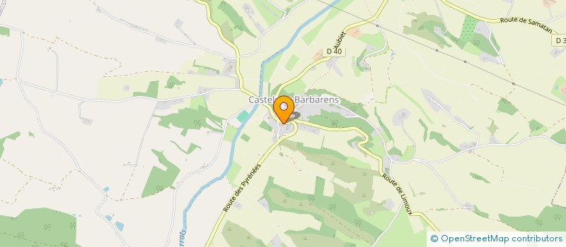 localisation de l'entreprise MADAME LUDIVINE FIEDLER  CASTELNAU-BARBARENS