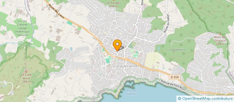 localisation de l'entreprise MADAME LUDIVINE KLUWEN  CARQUEIRANNE