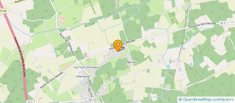 localisation de l'entreprise MADAME LUDIVINE LE GUILLOU  LES BOIS D'ANJOU