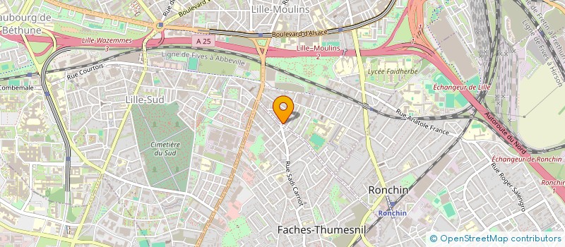 localisation de l'entreprise MADAME LUDIVINE NIVESSE à LILLE