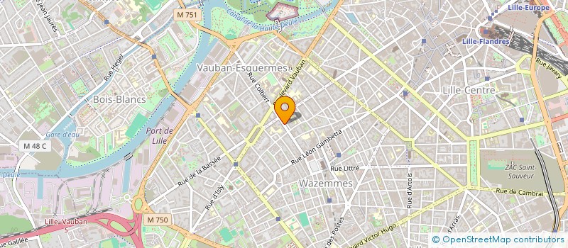 localisation de l'entreprise MADAME LUDMILLA PLUMAIN  LILLE