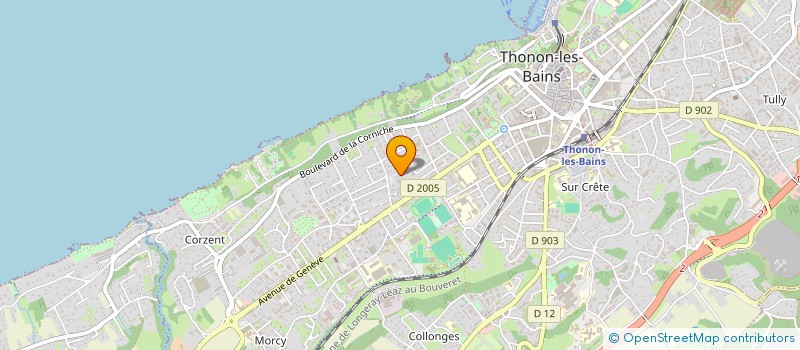 localisation de l'entreprise MADAME LUISA FIGUEIRA VALERIO à THONON-LES-BAINS