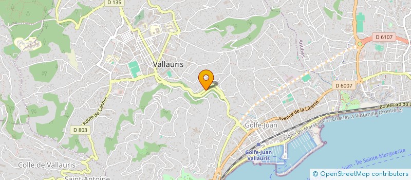 localisation de l'entreprise MADAME LUISA NAZZARI  VALLAURIS