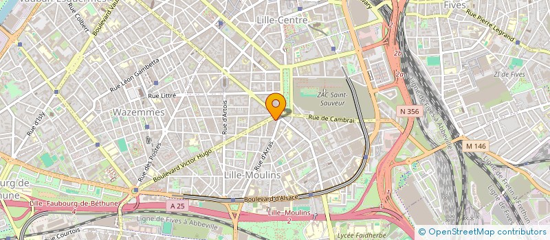 localisation de l'entreprise MADAME LUISA PROENCA DOYLE DE OLIVEIRA à LILLE