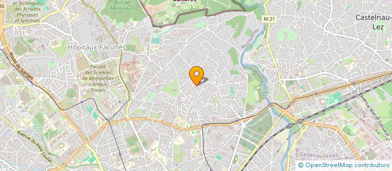 localisation de l'entreprise MADAME LUMINITA TIGIRLAS à MONTPELLIER