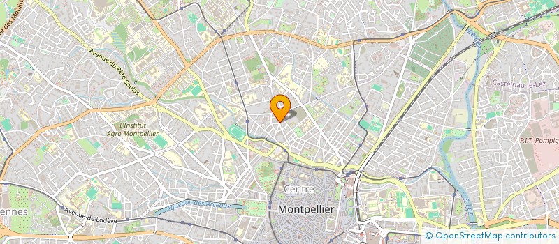 localisation de l'entreprise MADAME LUNA DAVID  MONTPELLIER