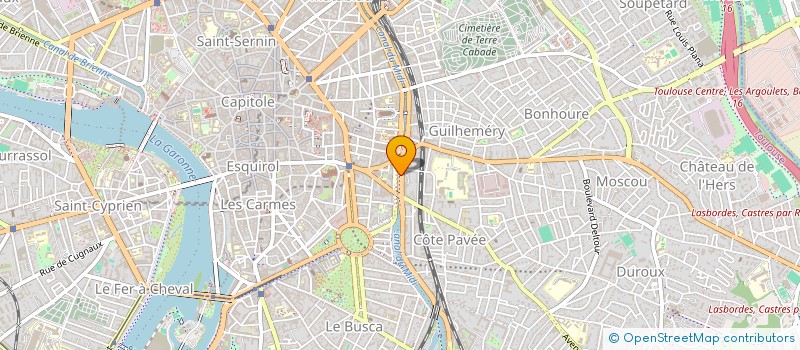 localisation de l'entreprise MADAME LUZ ANGELA ESPITIA BRAVO à TOULOUSE