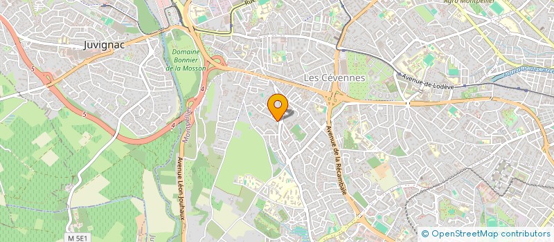 localisation de l'entreprise MADAME LYDIA AIT ALI à MONTPELLIER