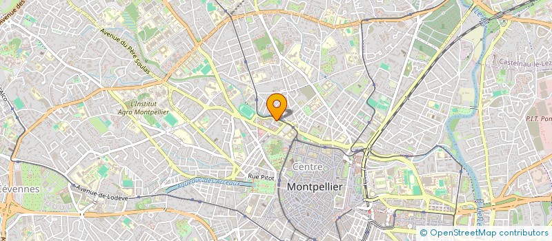 localisation de l'entreprise MADAME LYDIA LEVY à MONTPELLIER