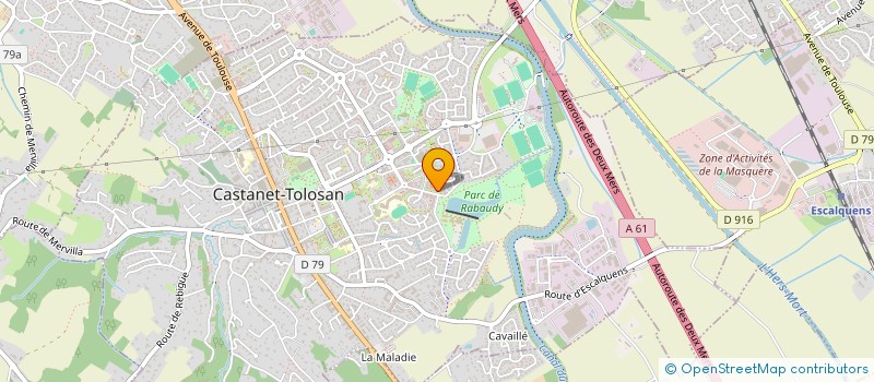 localisation de l'entreprise MADAME LYDIE DEDIEU  CASTANET-TOLOSAN