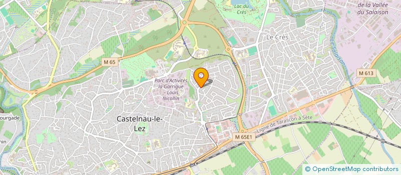 localisation de l'entreprise MADAME LYDIE DELFORGE à CASTELNAU-LE-LEZ