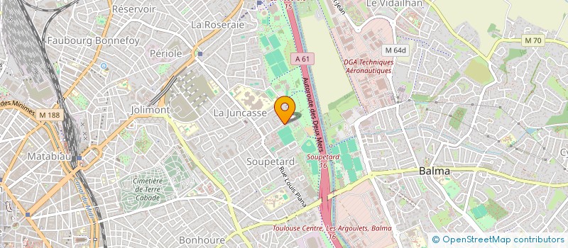 localisation de l'entreprise MADAME LYDIE DELMAS à TOULOUSE