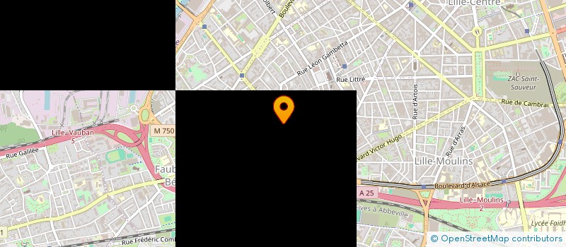 localisation de l'entreprise MADAME LYDIE KNOCKAERT à LILLE