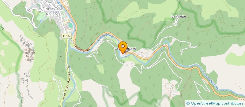 localisation de l'entreprise MADAME LYDIE PASTOR  FLORAC TROIS RIVIERES