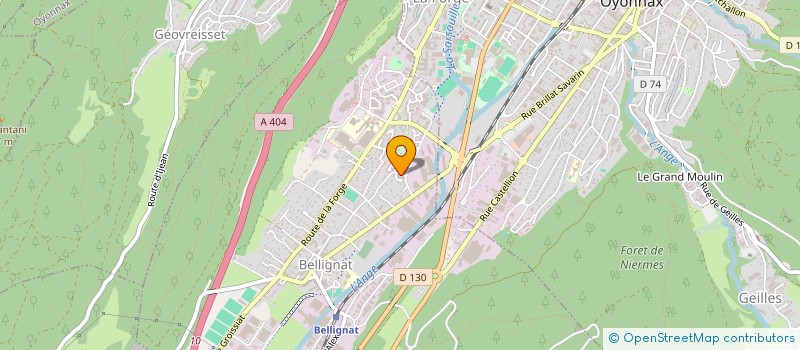 localisation de l'entreprise MADAME LYDIE VICARD  BELLIGNAT