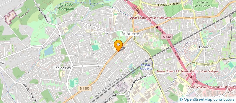 localisation de l'entreprise MADAME LYDIE ZEPHIRIN HENRY LEO  PESSAC