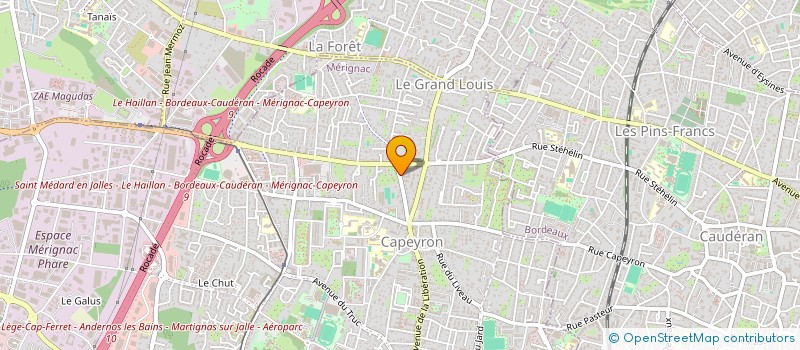 localisation de l'entreprise MADAME LYNA AISSAOUI  LE BOUSCAT