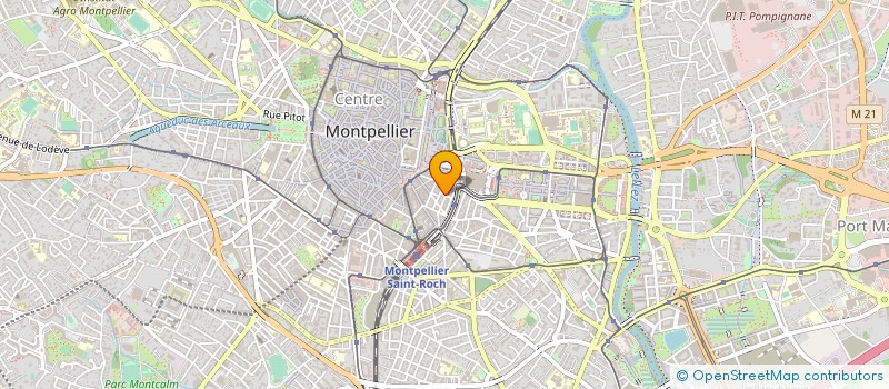 localisation de l'entreprise MADAME LYNN HETHERINGTON à MONTPELLIER