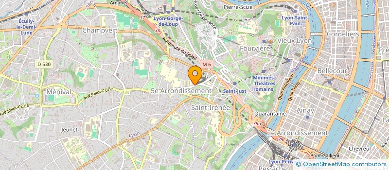 localisation de l'entreprise MADAME LYSIANE FREYS  LYON