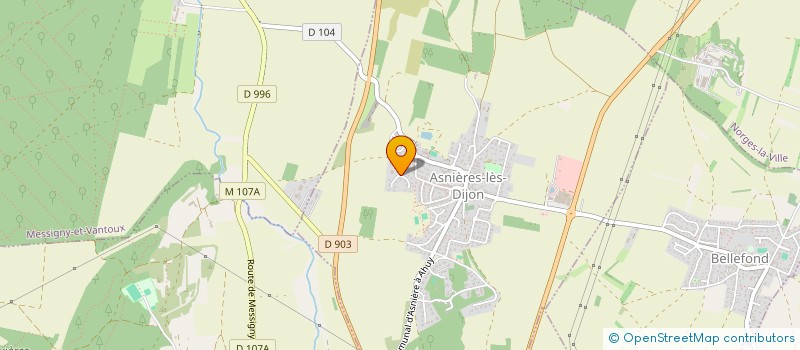 localisation de l'entreprise MADAME LYSIANNE FLAYEUX  ASNIERES-LES-DIJON