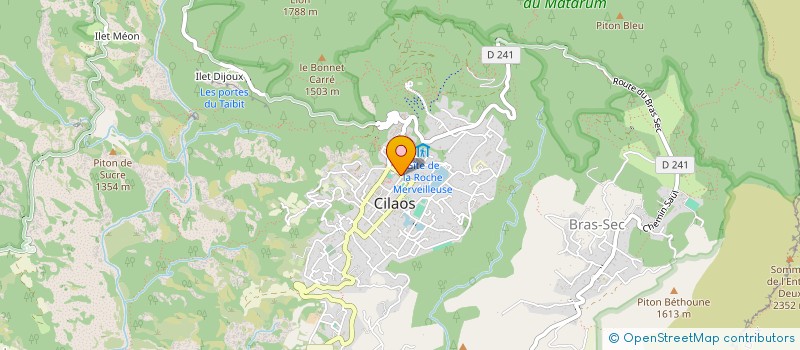localisation de l'entreprise MADAME M-FRANCOISE TECHER à CILAOS