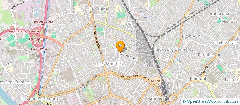 localisation de l'entreprise MADAME MADELEINE BLANCHY à TOULOUSE